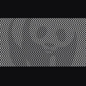 Meet your Posher, Rylen